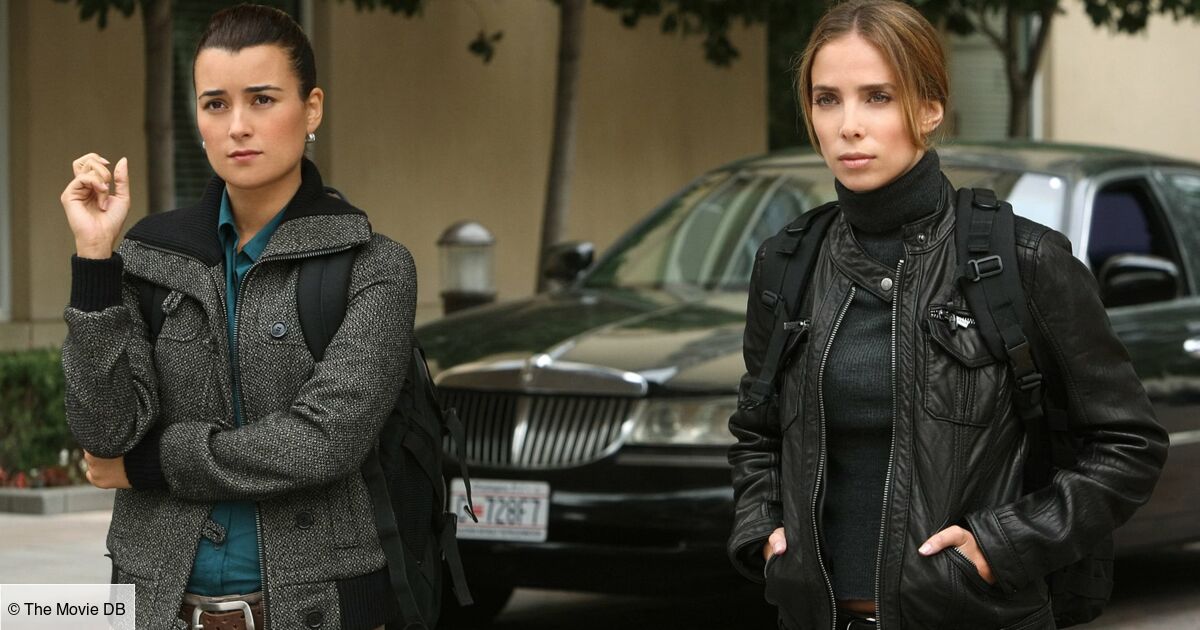 Ncis Los Angeles Et Ncis Enquêtes Spéciales Episode NCIS : enquêtes spéciales