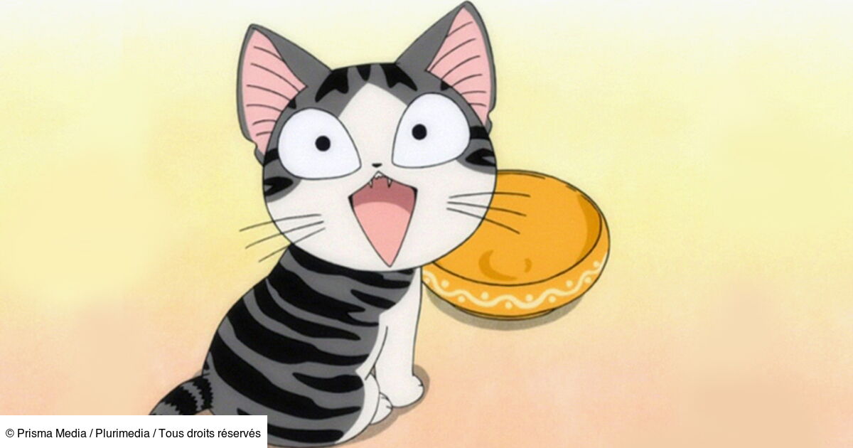Chi, une vie de chat