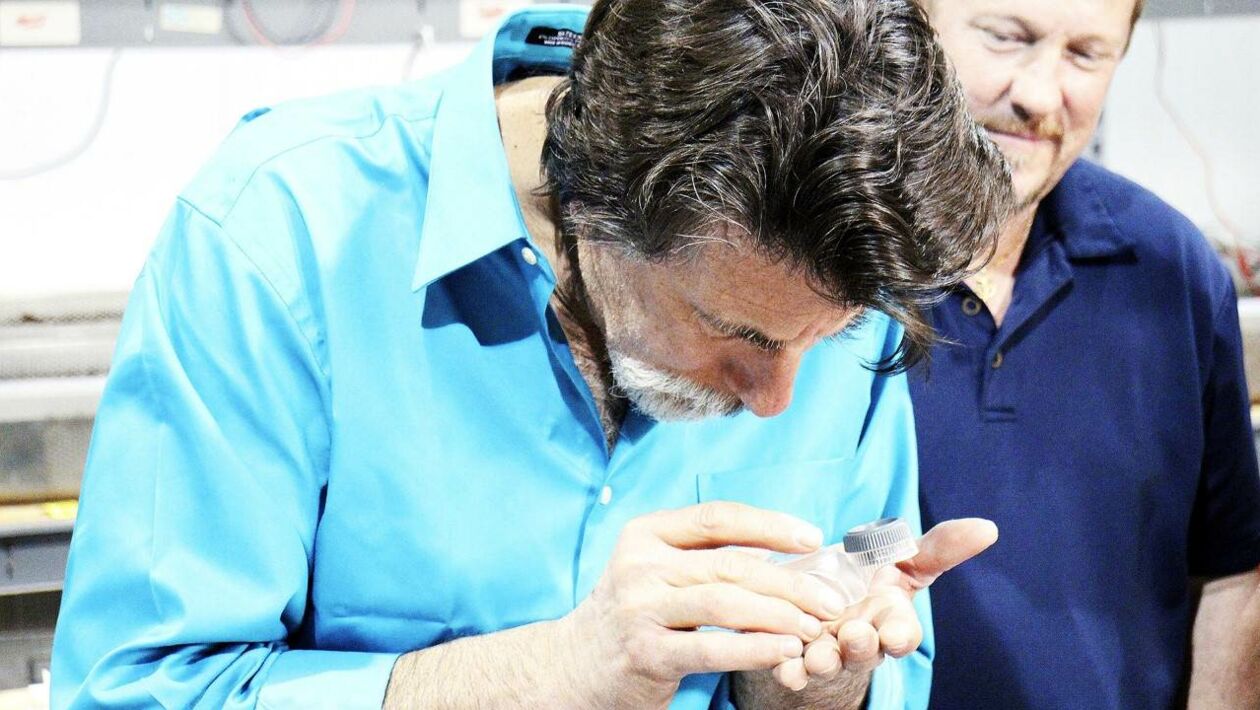 Le Mystère D'oak Island Saison 9 Date De Sortie La pierre du grand secret - Le mystère d'Oak Island - Télé-Loisirs
