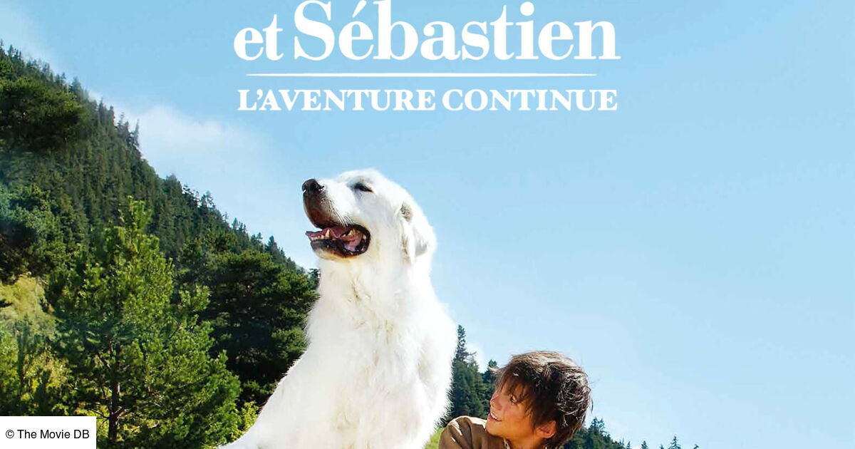 Belle Et Sébastien 1 Film Complet En Français Gratuit Youtube