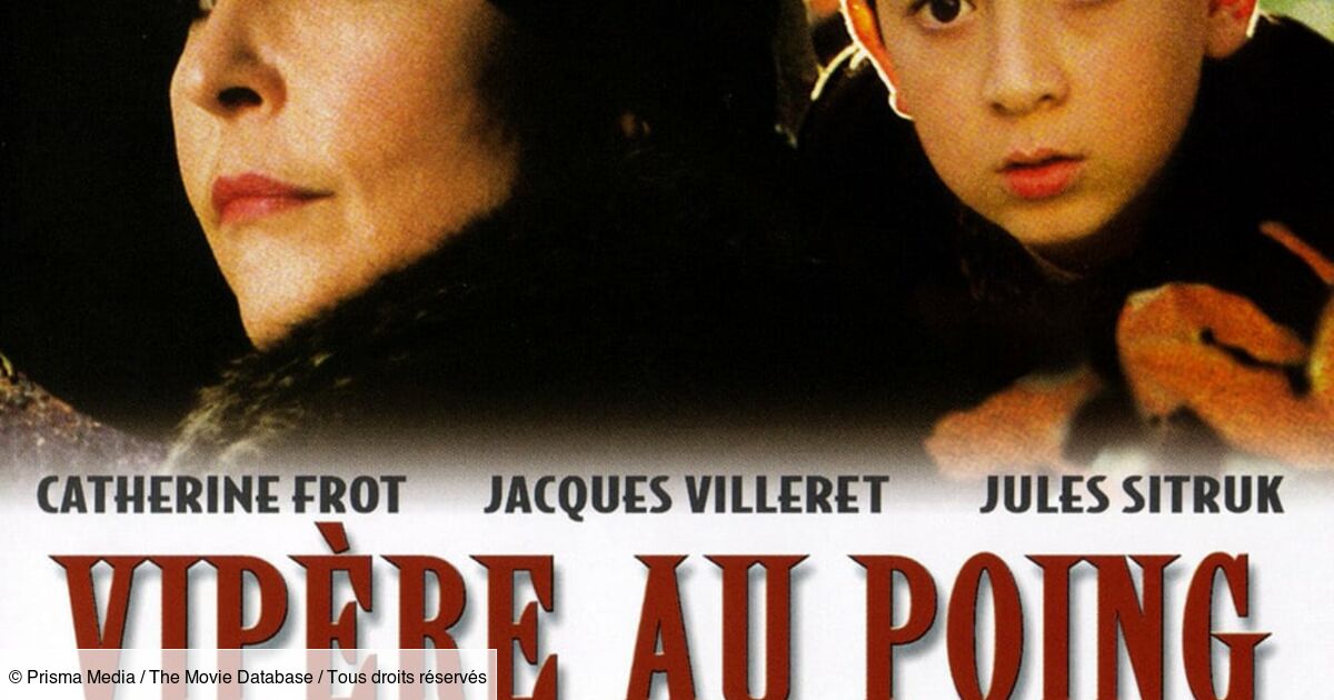 Vipere Au Poing Streaming Vipère au poing