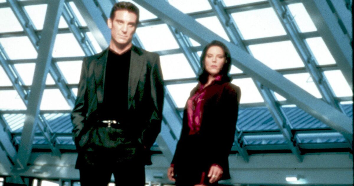 Que Sont Devenus Les Acteurs De La Série Le Caméléon Le caméléon