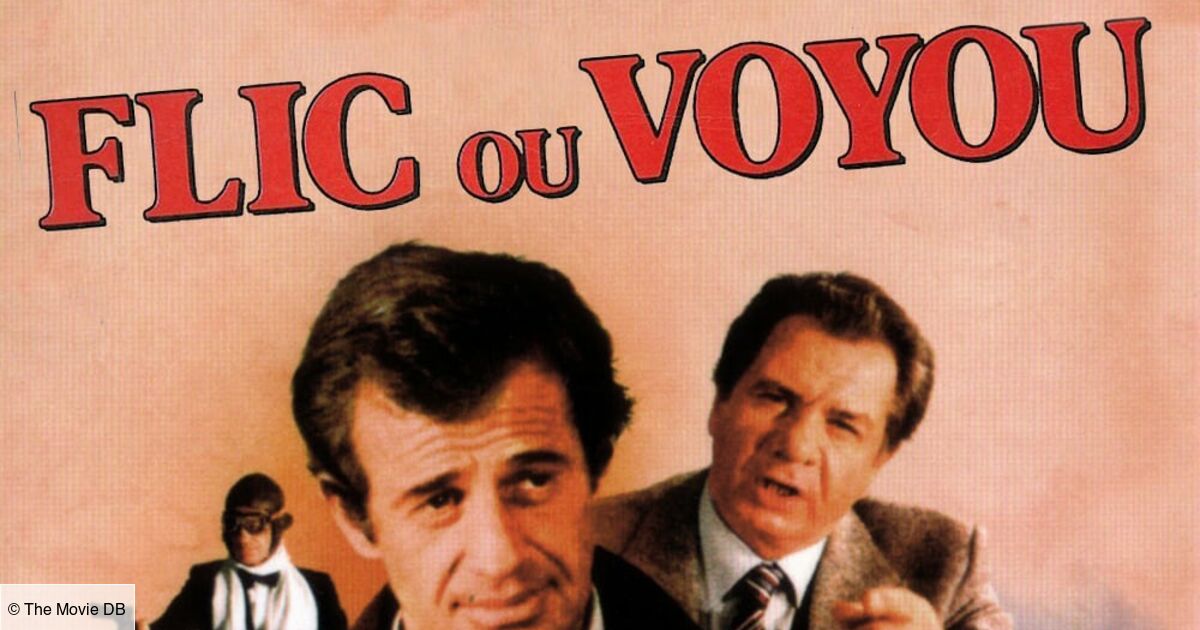 Regarder Flic Ou Voyou En Streaming Gratuit Flic ou voyou