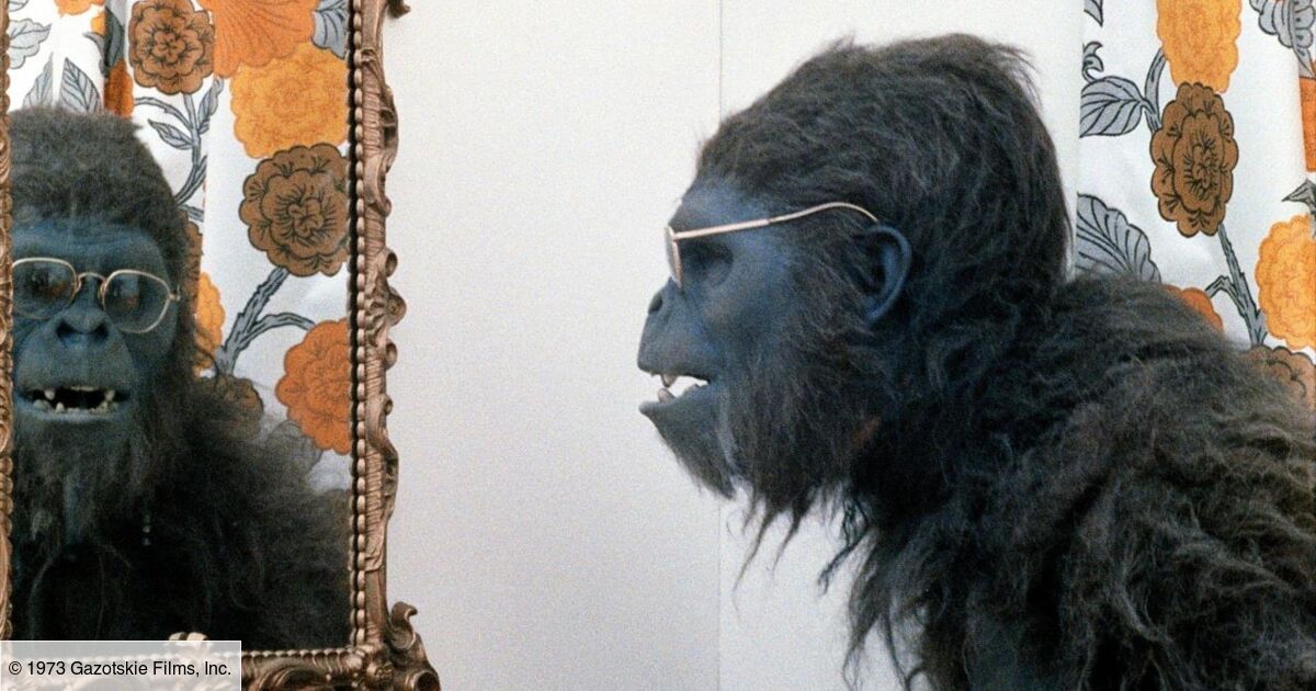 Le Chainon Manquant Entre Le Singe Et L Homme Schlock, le tueur à la banane