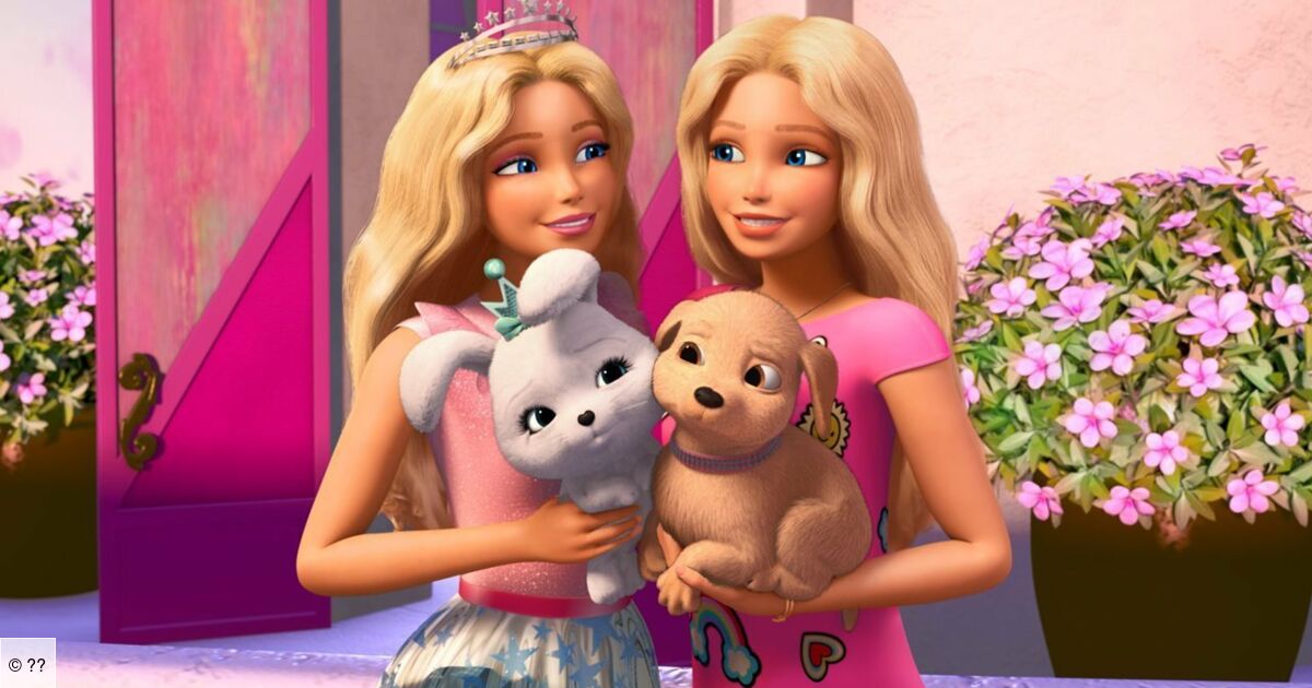 C Est La Reine Des Vagues Barbie Barbie Princess Adventure