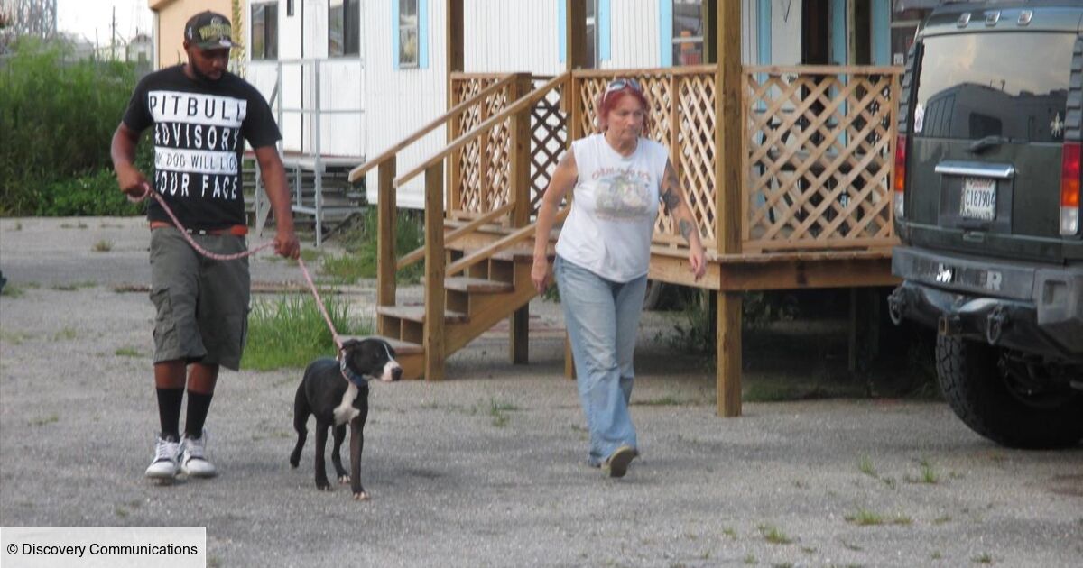 Pitbull Et Prisonnier Que Sont Ils Devenus Pitbulls et prisonniers