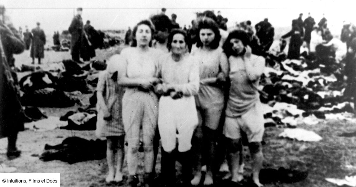 Resume Une Jeunesse Au Temps De La Shoah