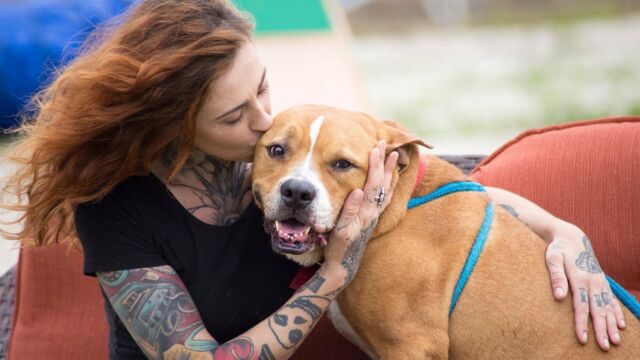 Pitbull Et Prisonnier Que Sont Ils Devenus Pitbulls et prisonniers