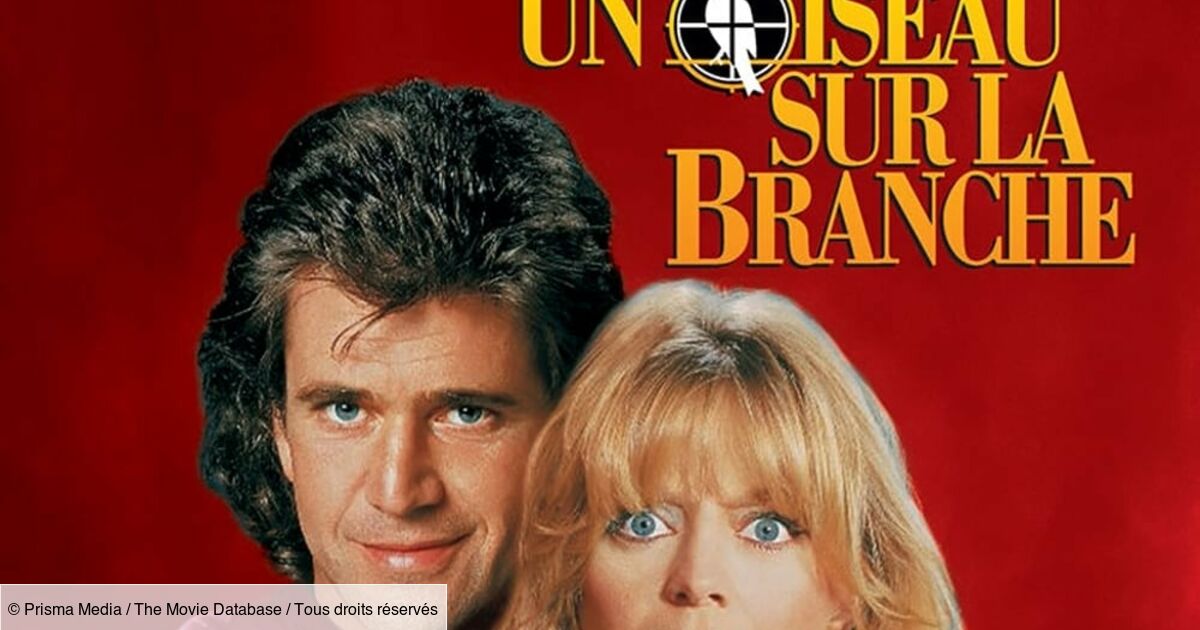 Film Comme Un Oiseau Sur La Branche Comme un oiseau sur la branche