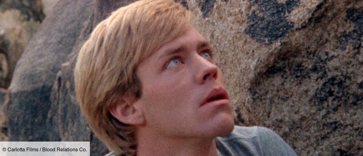 La Colline A Des Yeux 3 Netflix La colline a des yeux de Wes Craven (1979), synopsis, casting