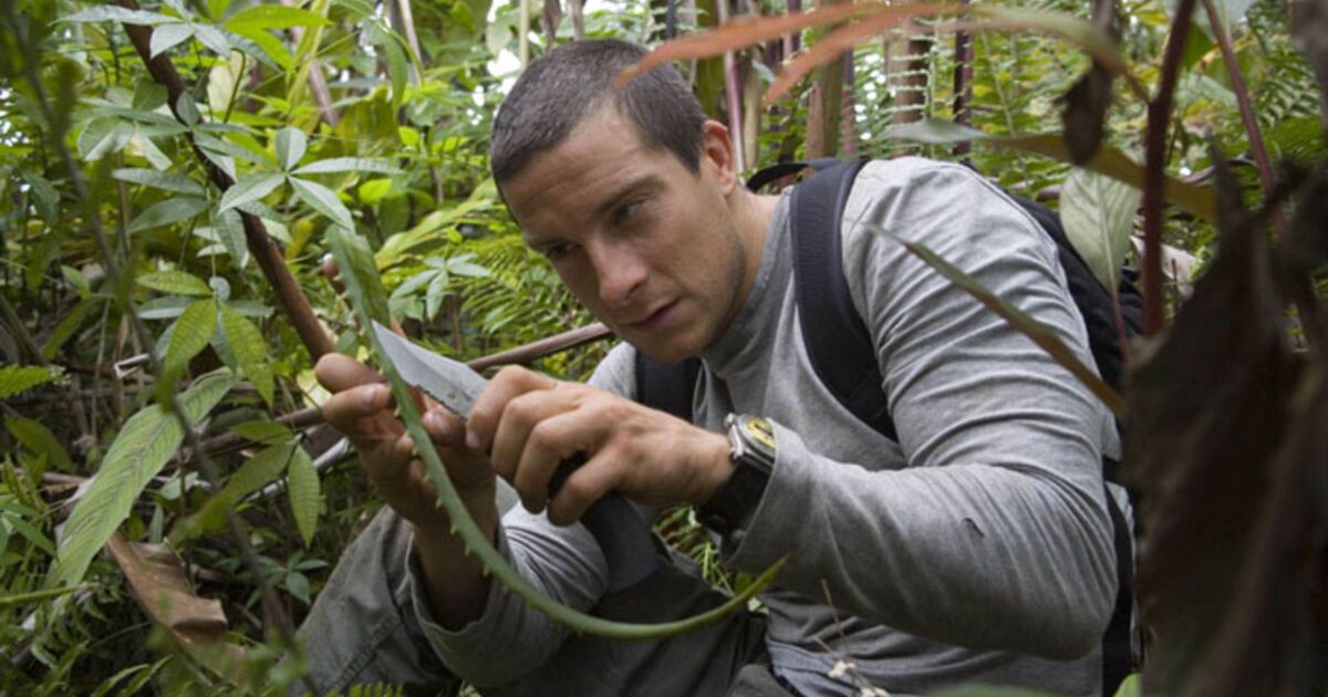 Man Wild Seul Face A La Nature SEUL FACE A LA NATURE SAISON 1 TELECHARGER REGARDER LES éPISODES DE MAN