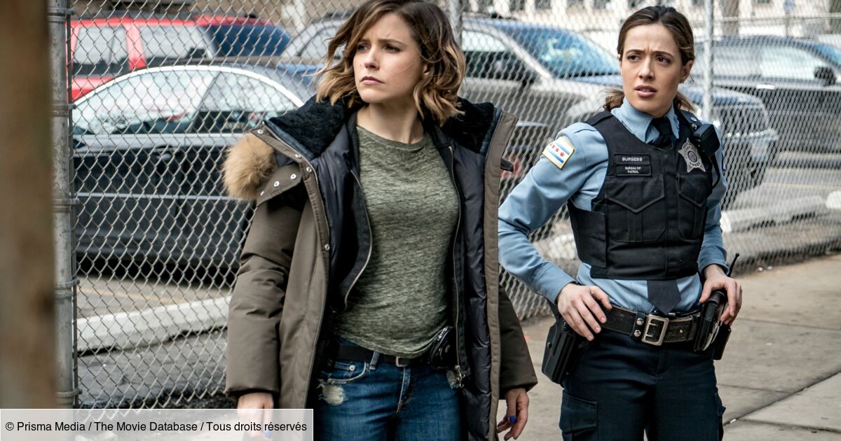 Chicago Police Department - Saison 9 Chicago Police Department