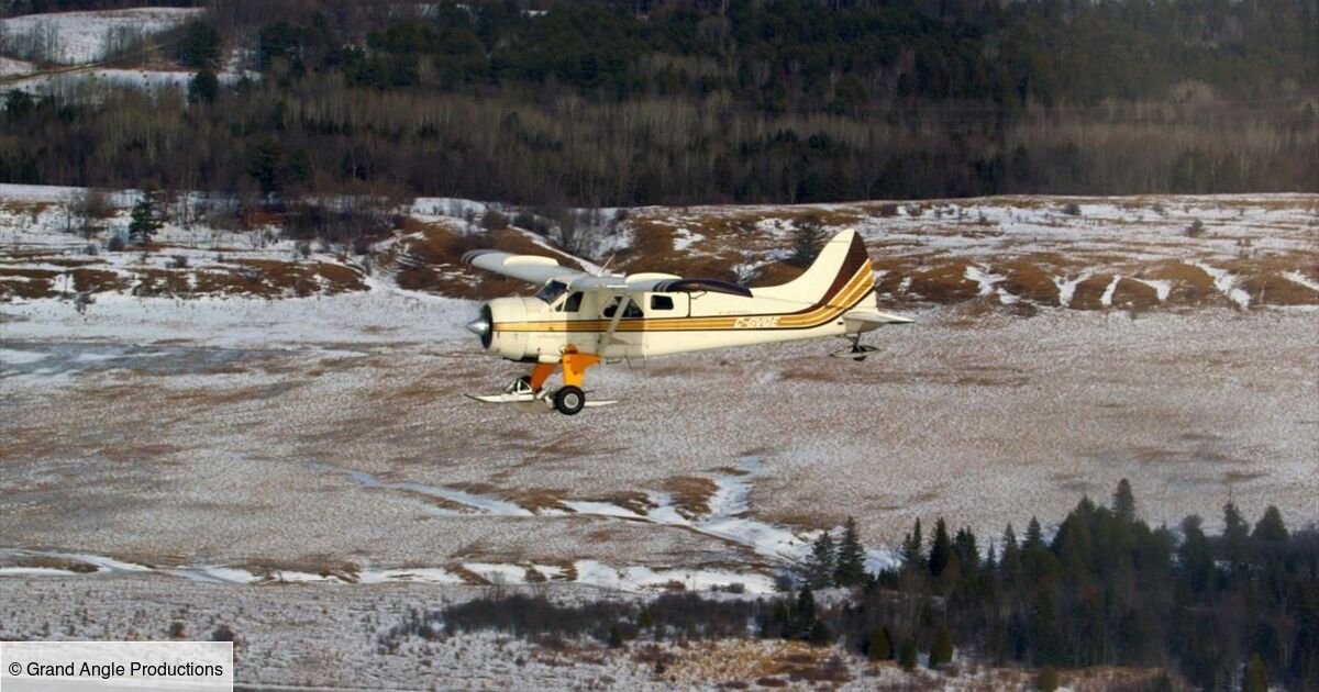 Les Avions Du Bout Du Monde Streaming Les avions du bout du monde