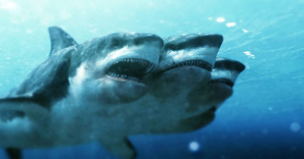 L Attaque Du Requin à Trois Têtes L'attaque du requin à cinq têtes