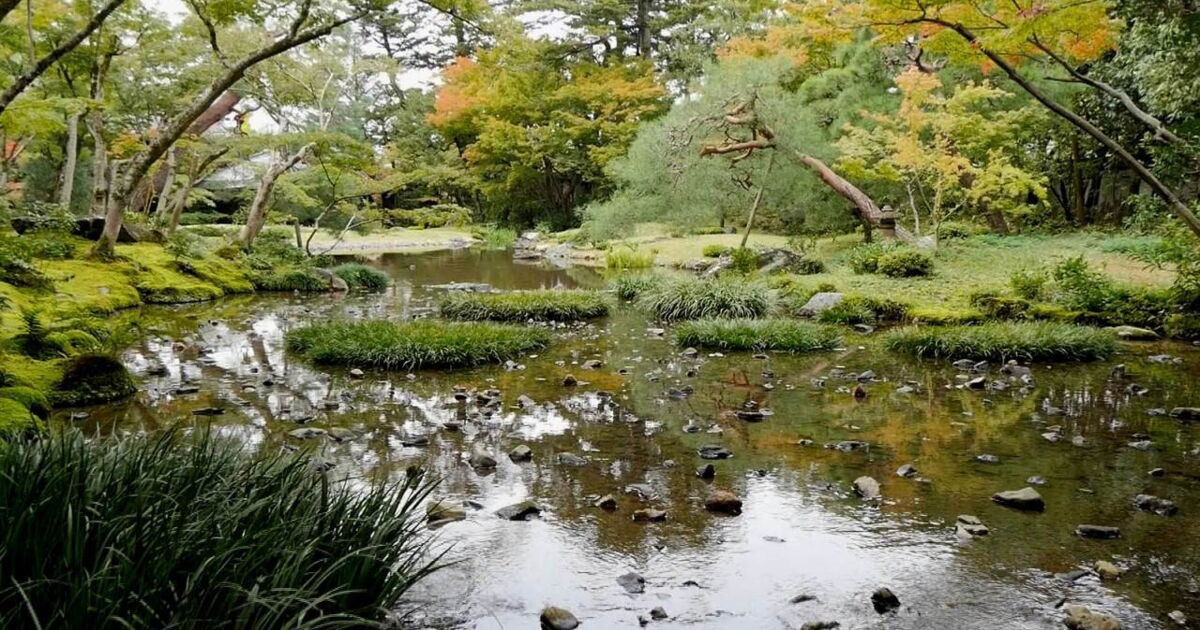 Jardins d'ici et d'ailleurs