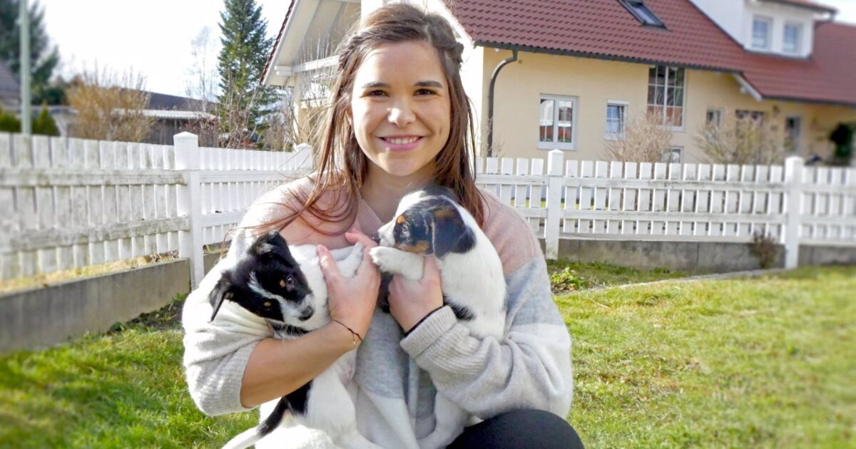 Anna und die Haustiere