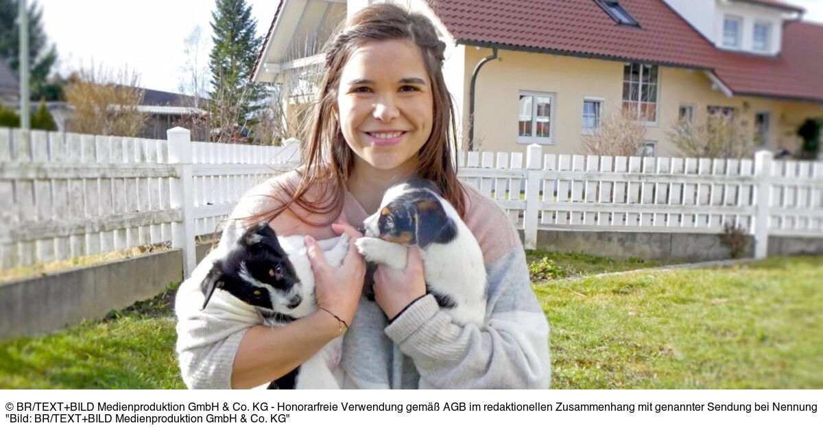 Anna und die Haustiere