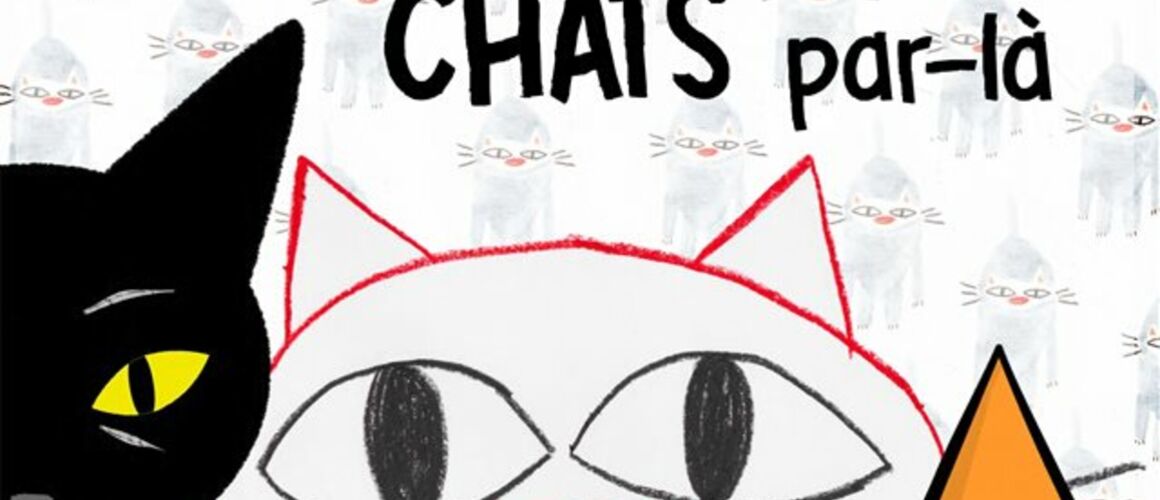 Chats par-ci, chats par-là