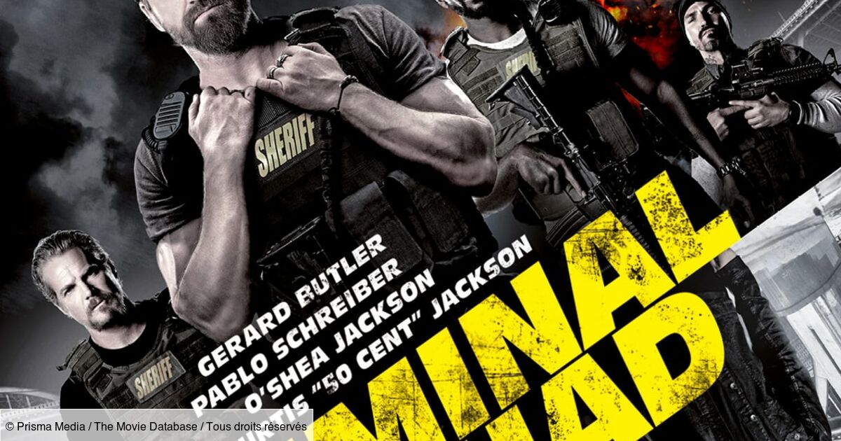 Criminal Squad Streaming Vostfr Criminal Squad