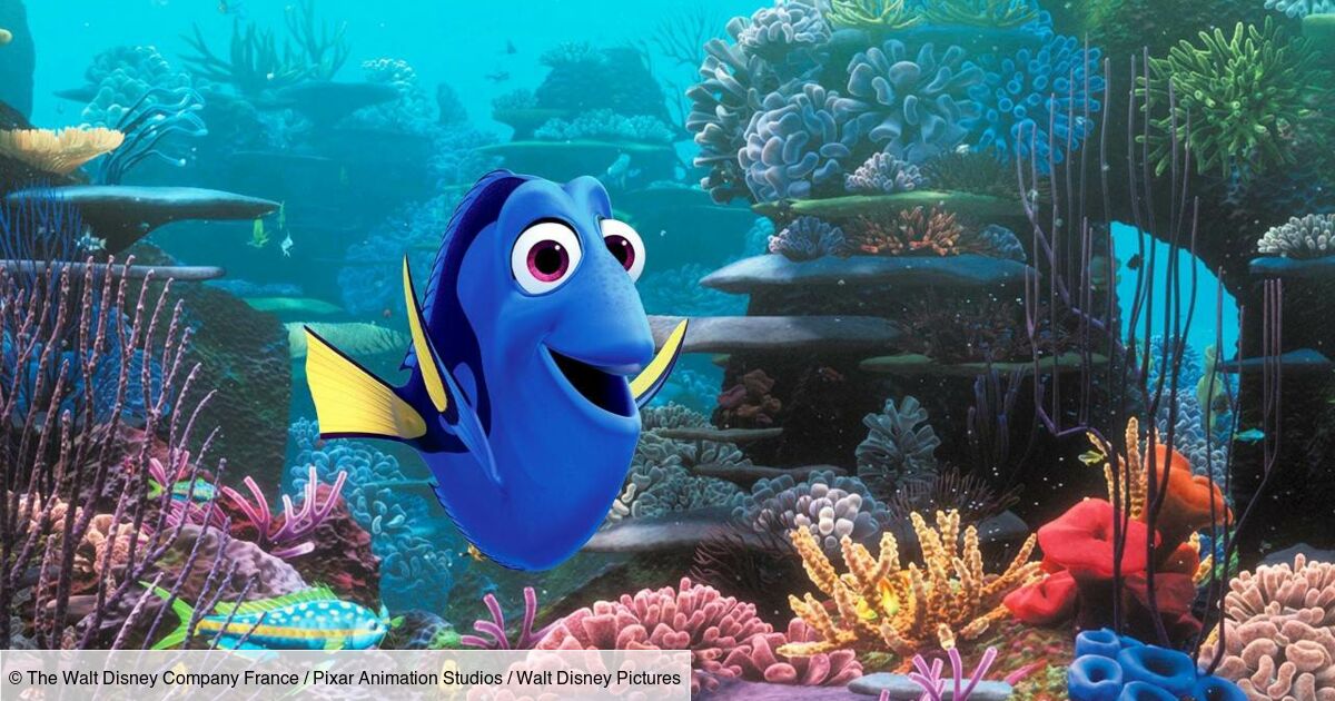 Le Monde De Dory Film Complet En Français Le monde de Dory