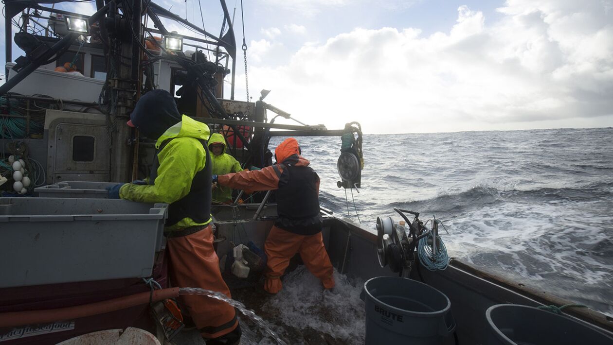 Péril En Haute Mer Mort Du Capitaine Sacrifice - Péril en haute mer : la relève - Télé-Loisirs