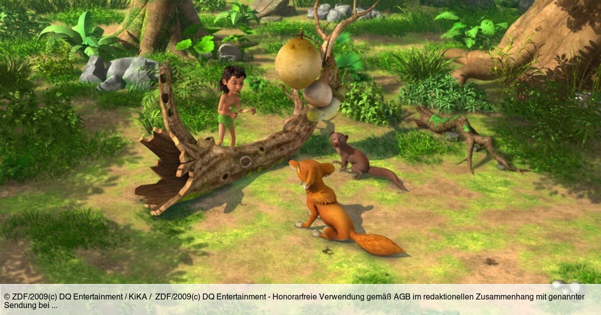 On A Grandi Dans La Jungle Le livre de la jungle