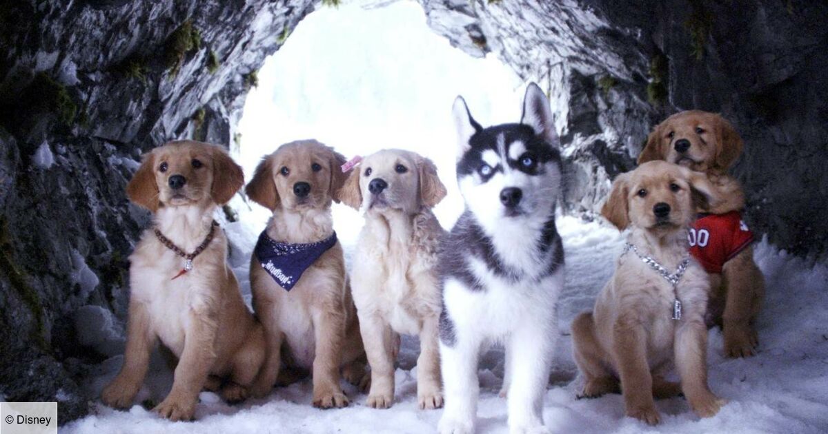 Les Copains Des Neiges Les copains des neiges