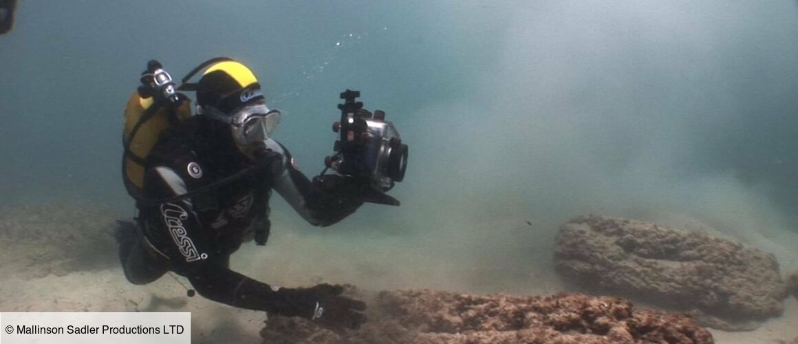 Sous Les Mers Saison 4 Date De Sortie Netflix Mystérieux volcans sous-marins - Trésors sous les mers - Télé-Loisirs