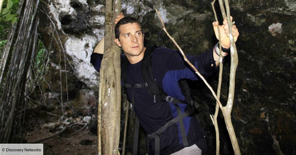 Man Wild Seul Face A La Nature Man vs Wild : seul face à la nature