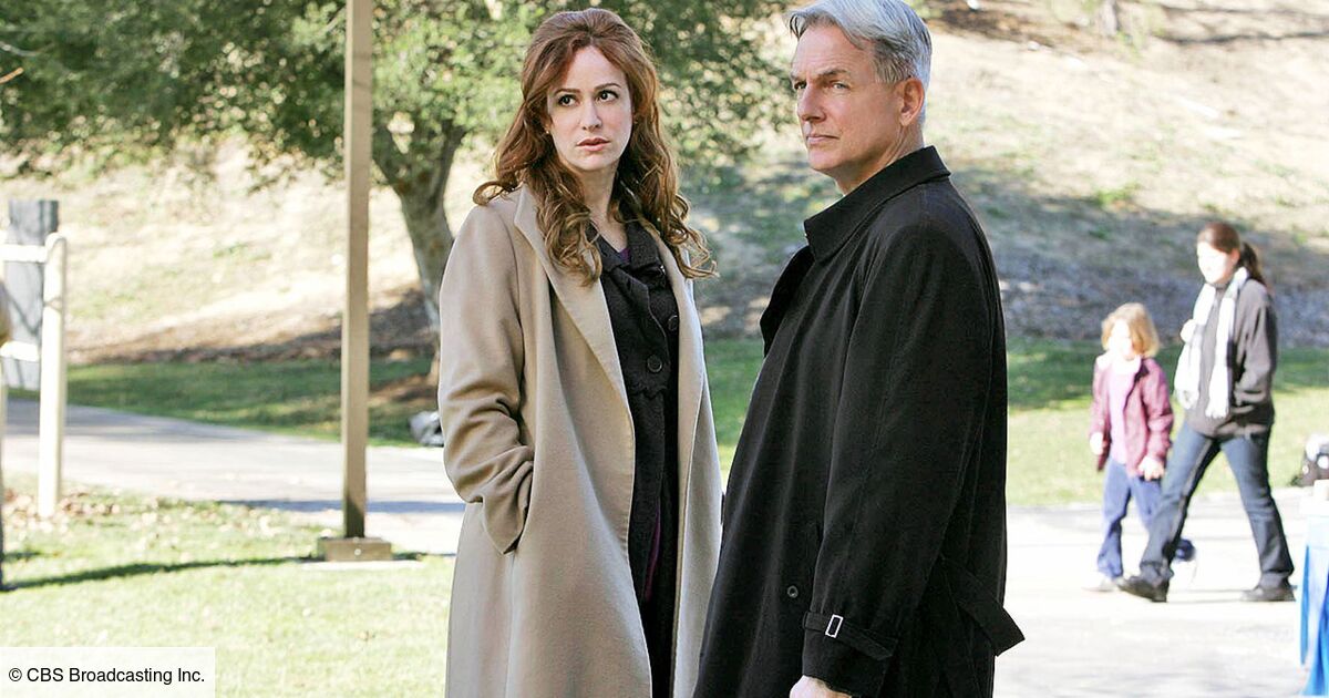 Distribution De Saison 19 De Ncis : Enquêtes Spéciales NCIS : enquêtes spéciales