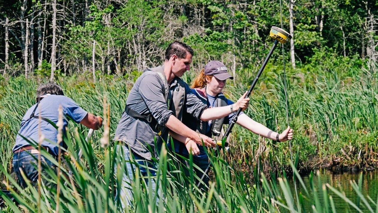 Le Mystère D'oak Island Saison 9 Diffusion France Oeil pour oeil - Le mystère d'Oak Island - Télé-Loisirs
