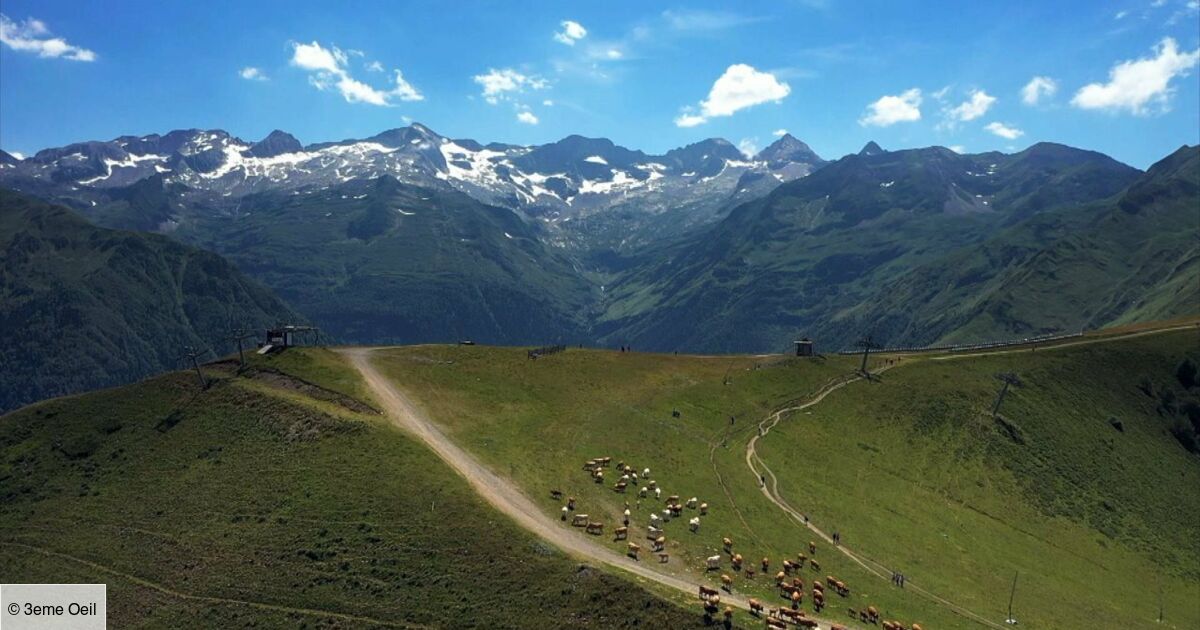 Des Racines Et Des Ailes Le Sentier Des Douaniers Des racines et des ailes