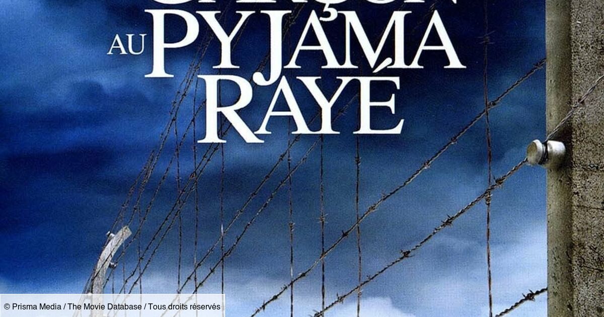 Le Garçon Au Pyjama Rayé Résumé Le Garçon au pyjama rayé