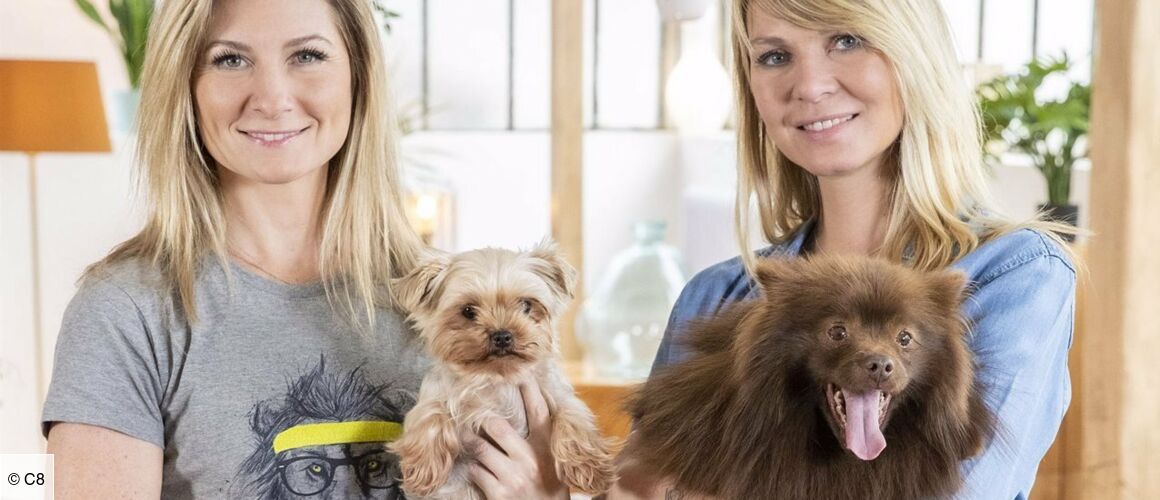 Animaux à Adopter Nouvelle Famille Pour Une Nouvelle Vie 2021 Animaux à adopter : nouvelle famille pour une nouvelle vie - Télé-Loisirs