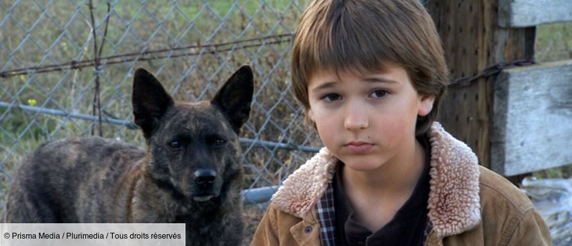 Un chien à la Maison Blanche TéléLoisirs