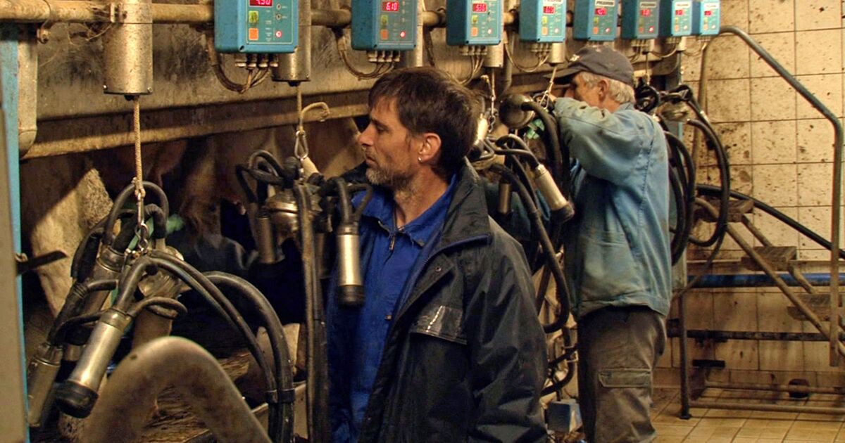 Les Fils De La Terre Streaming Les fils de la terre