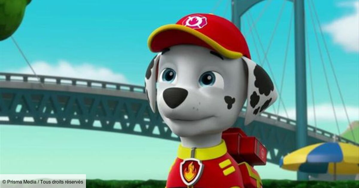 Mr. Porter Paw Patrol : La Pat'patrouille Paw Patrol, la Pat'Patrouille