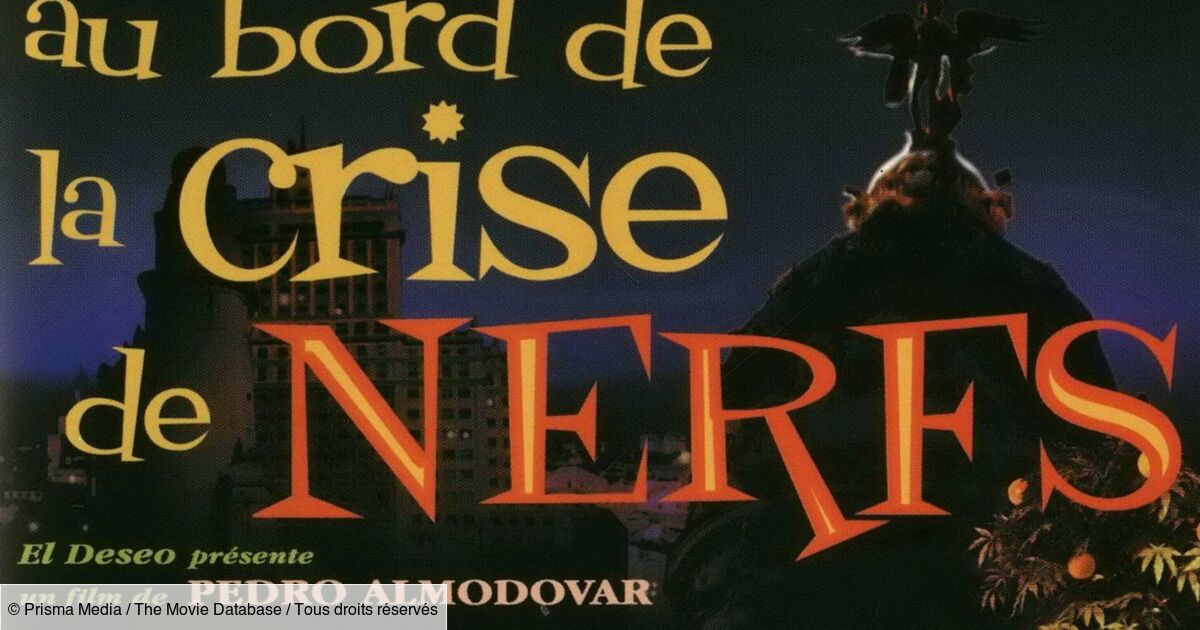 Sommes Au Bord De La Crise De Nerfs Femmes au bord de la crise de nerfs