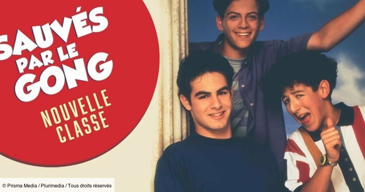 Sauvés Par Le Gong La Nouvelle Classe Sauvés par le gong, la nouvelle classe