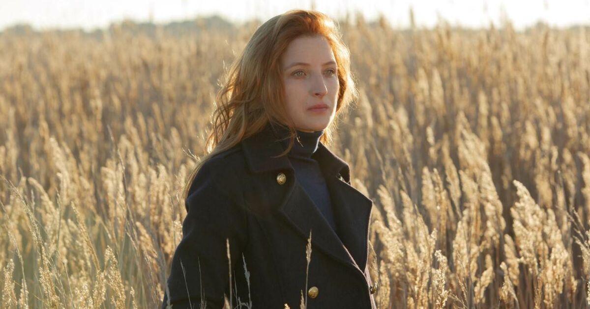 Films Et Séries Tv Avec Elise Larnicol Le secret d'Elise