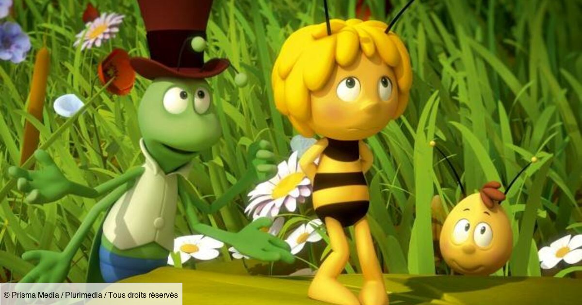 Maya L Abeille 3 Maya l'abeille 3D