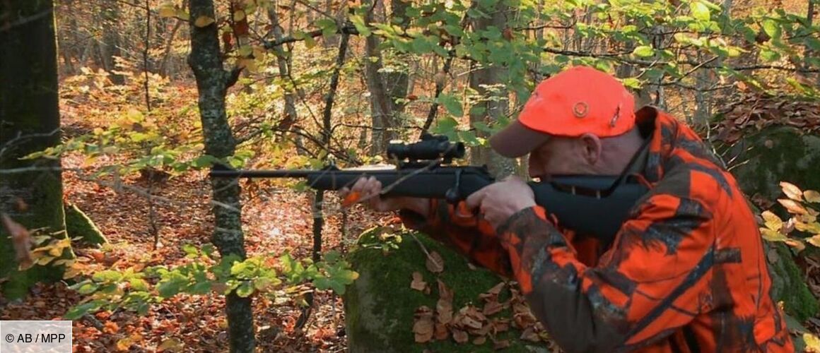 Chasse au gros gibier dans la forêt de Fontainebleau - Télé-Loisirs