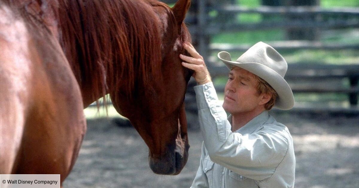 Film L Homme Qui Parlait à L Oreille Des Chevaux L'homme qui murmurait à l'oreille des chevaux