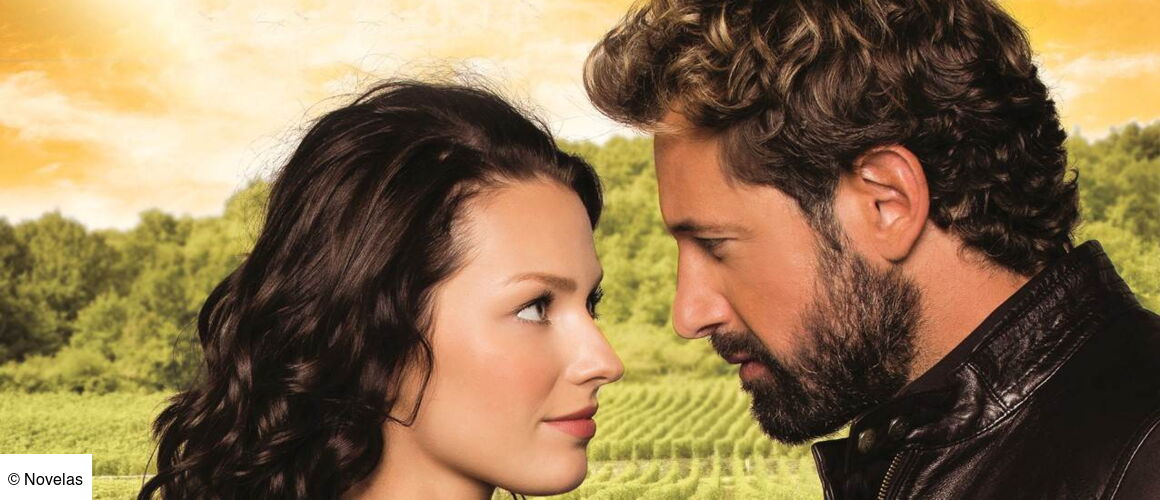 L Ivresse De L Amour Streaming Vf