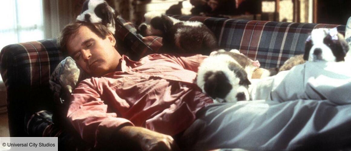 Beethoven 2 Film Streaming Beethoven 2 vf en streaming Film