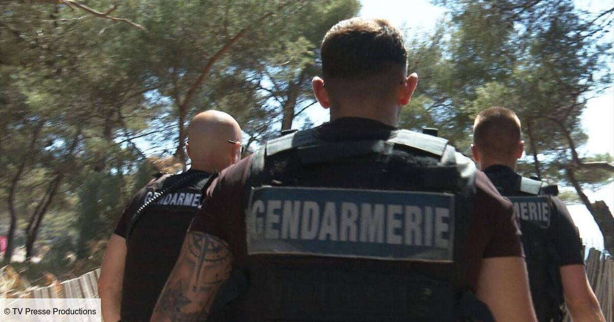 100 Jours Avec La Police De Perpignan Au coeur de l'enquête