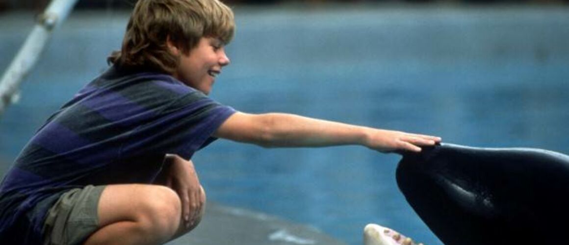 Sauvez Willy de Simon Wincer (1993), synopsis, casting, diffusions tv