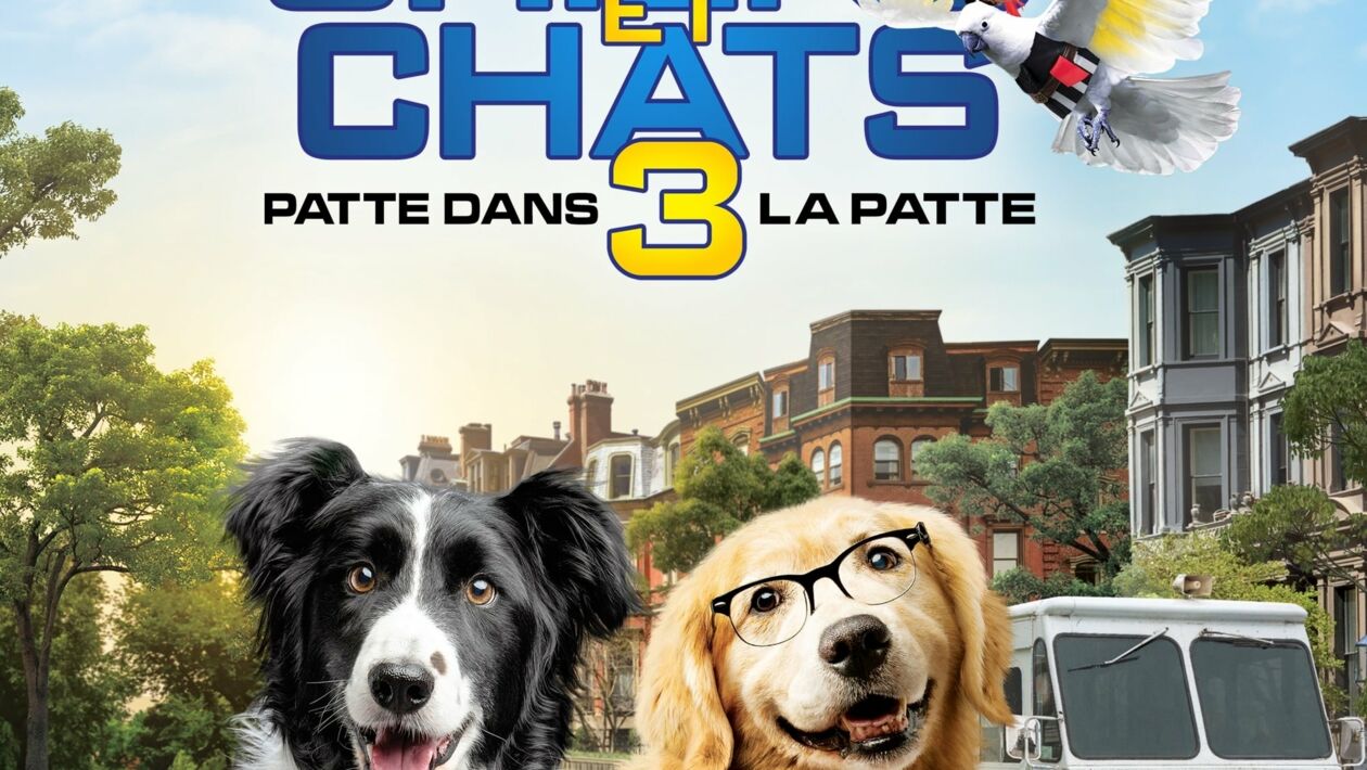 Comme Chien Et Chat 3 Comme Chiens et Chats 3 : Patte dans la patte - Télé-Loisirs