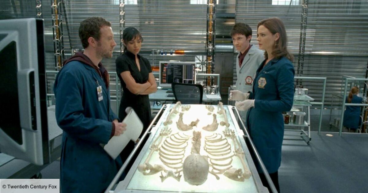 Bones Saison 6 Booth Et Brennan Couche Ensemble Bones