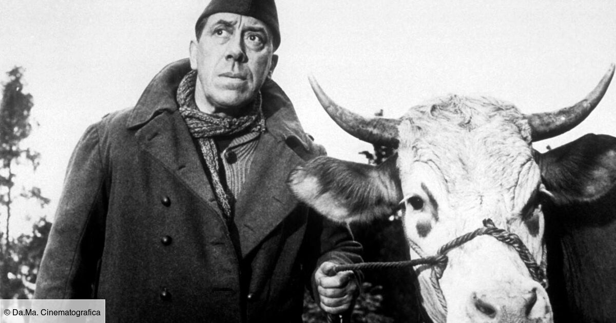 La Vache Et Le Prisonnier Film Complet Youtube La vache et le prisonnier
